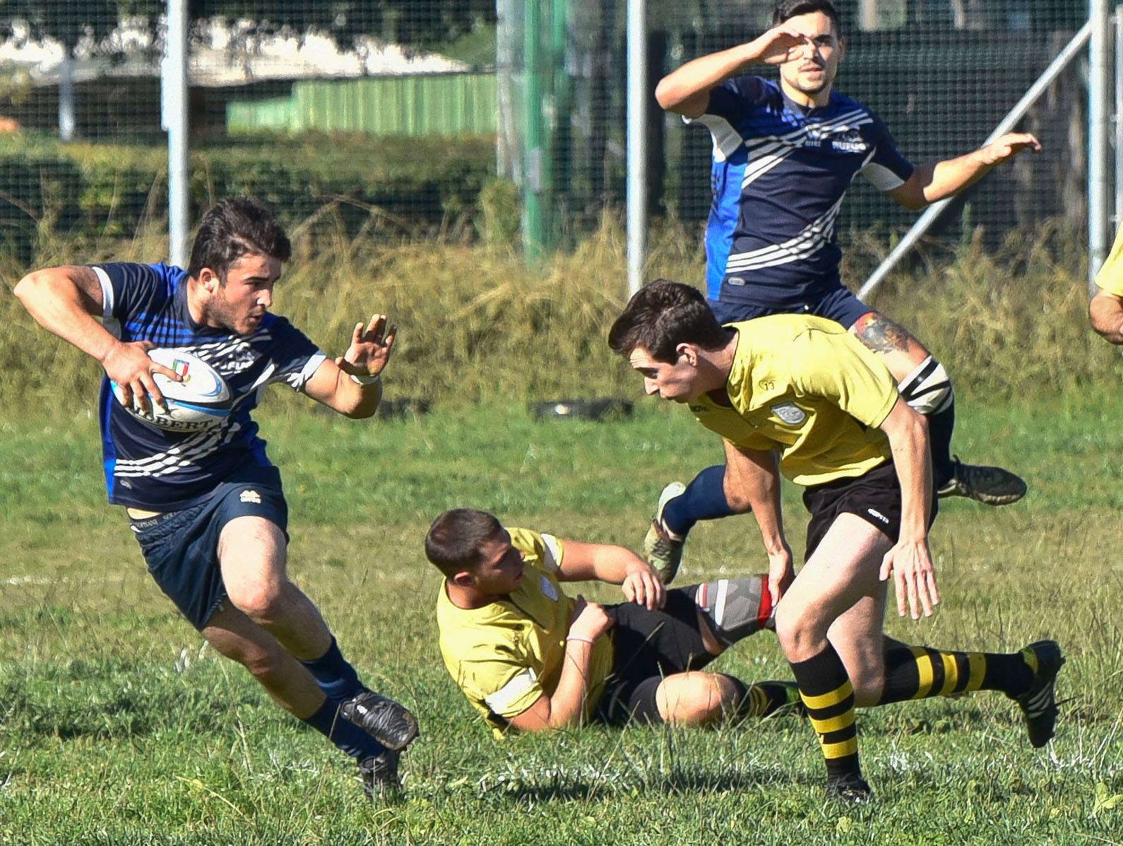 Rugby Rufus Balliu